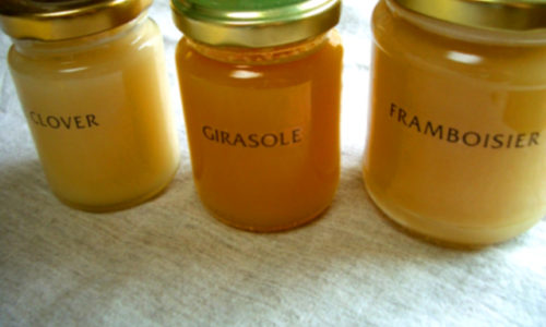 蜂蜜とビタミンＣの免疫力アップ効果