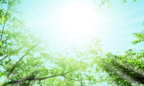 太陽光を気持ちよく浴びることはアトピー改善のための生活習慣としてオススメ。