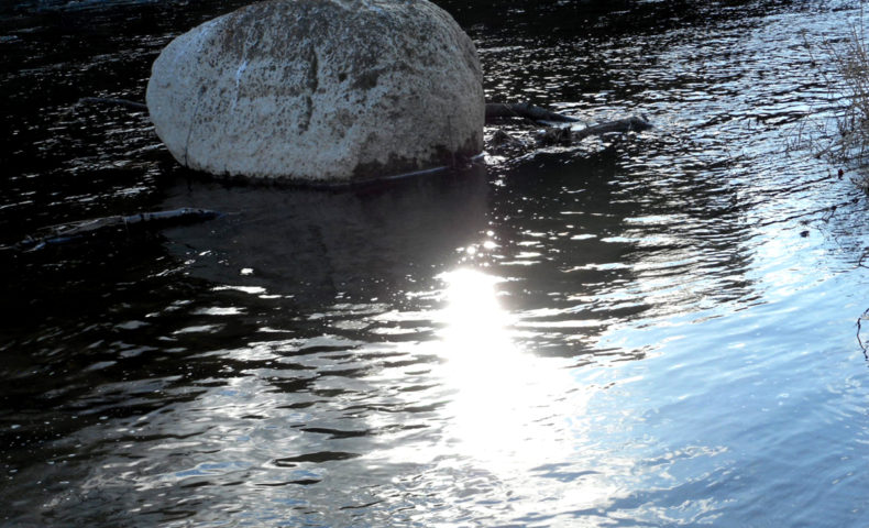 ヒトは水辺で進化するー瞑想の記憶。