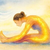 パシュチモーッターナ・アーサナ（前屈ポーズ）のやり方