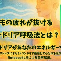『ミトコンドリアがあなたのエネルギーを増やす。』の第２章をNotebookLMが内容解説。